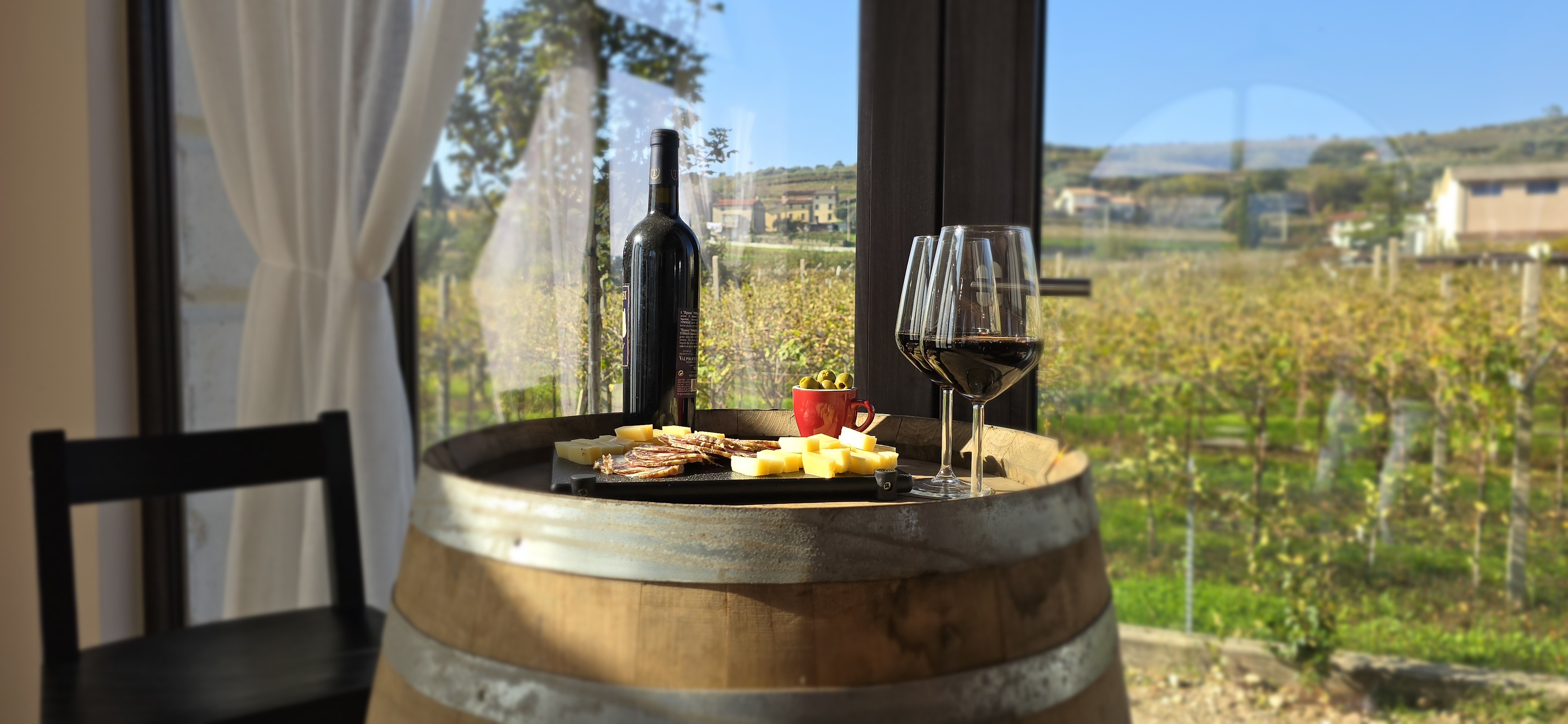 Filari di vite nella Valpolicella con vista sulle colline