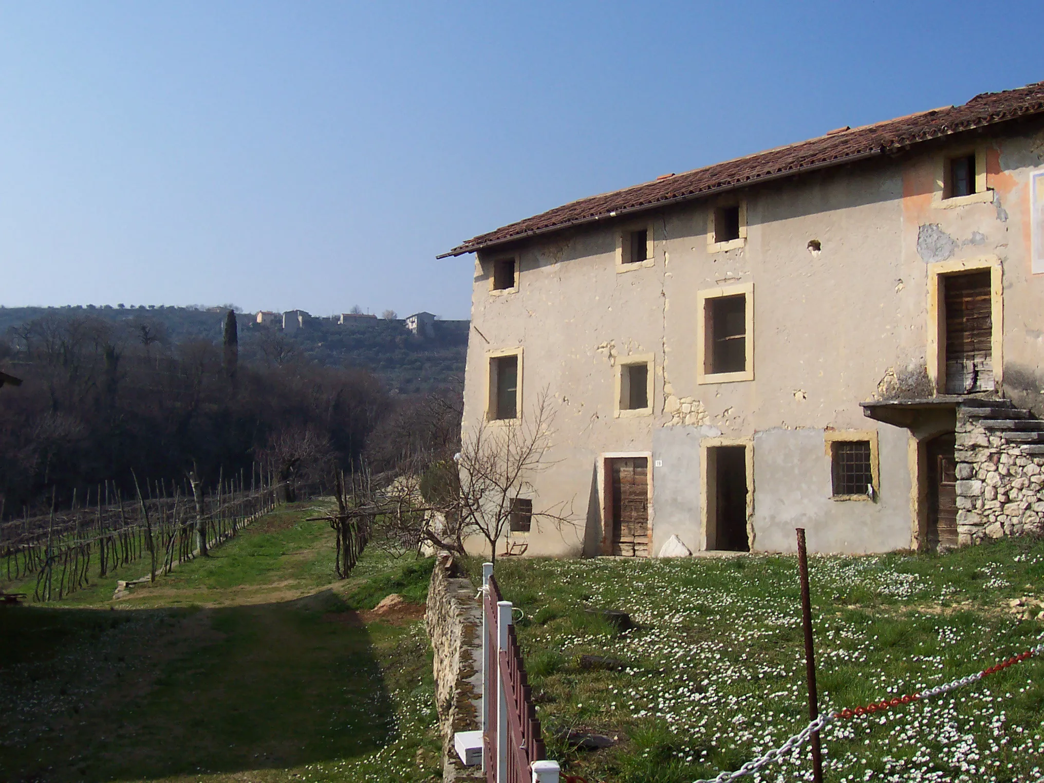 Alessandro Boni