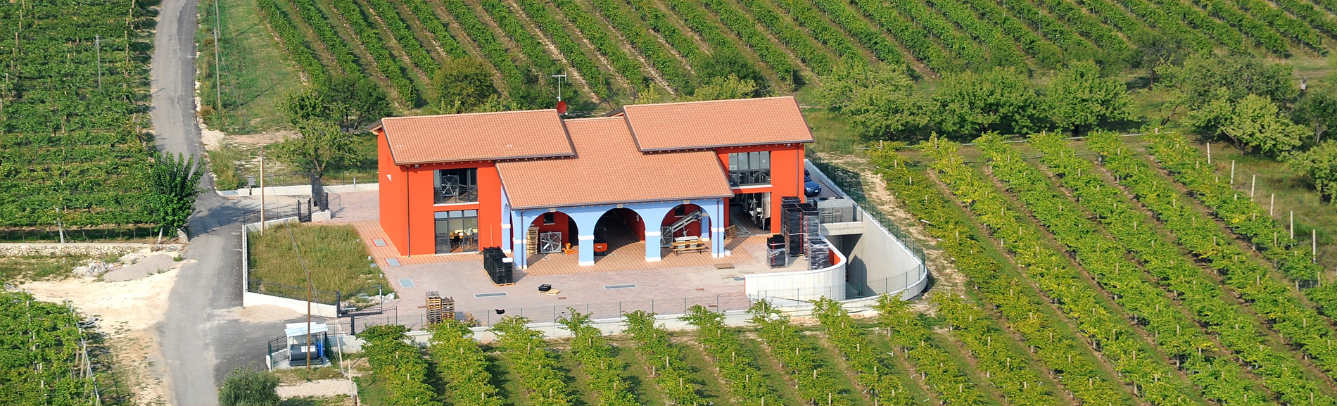 La Dama Vini