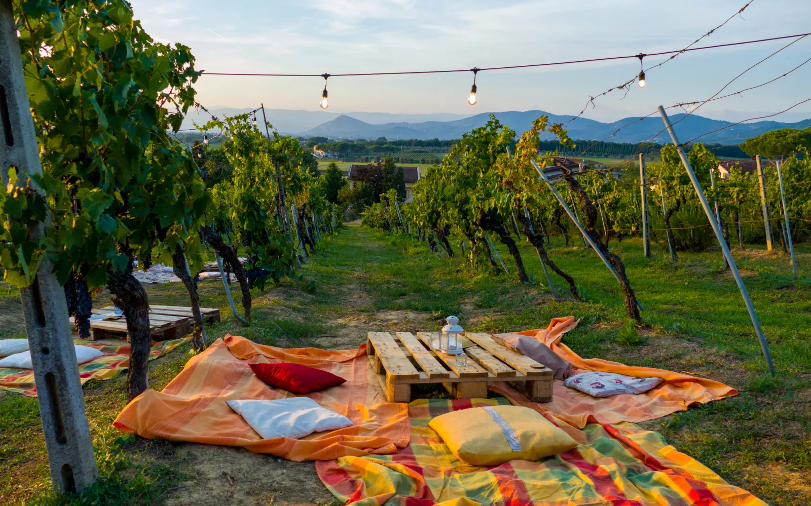 Giardino con alberi e vigneti della Valpolicella