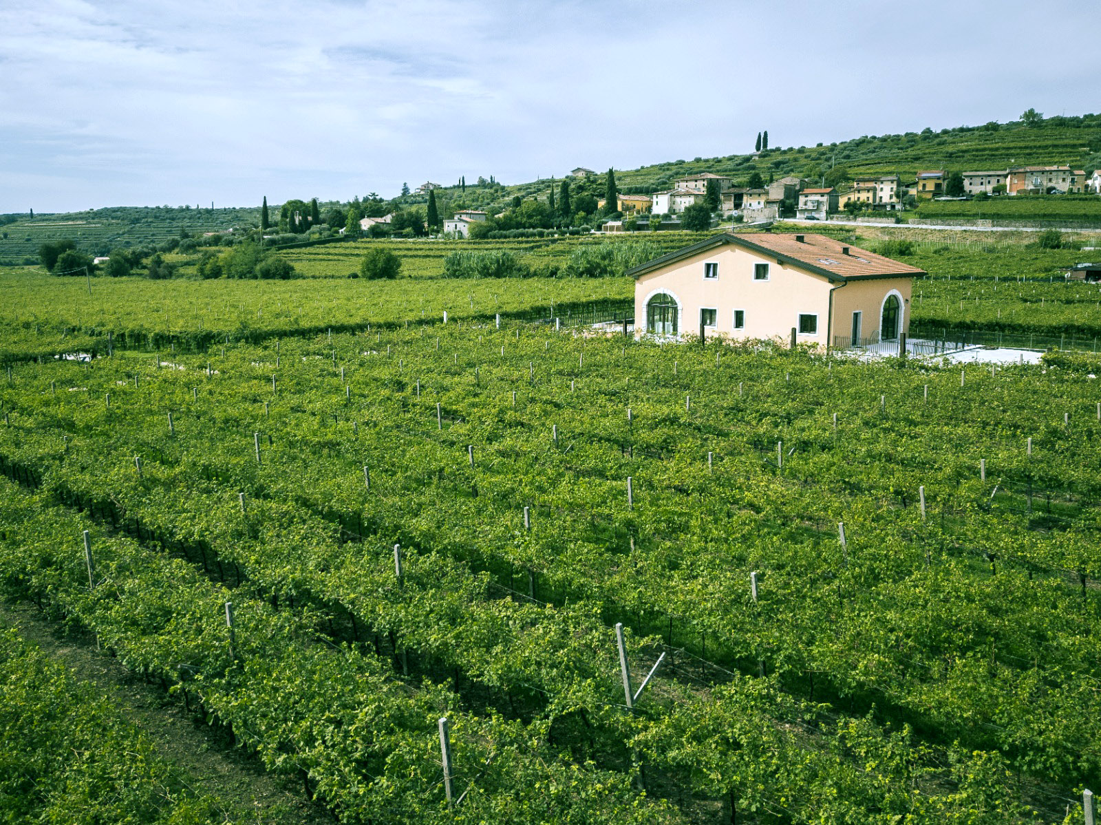 Sentieri nei vigneti - Agriturismo Igino Valpolicella